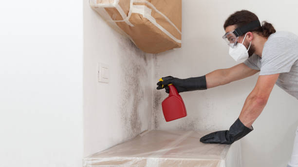Professional Crawl Space Mold Remediation technician working in Baroda, MI